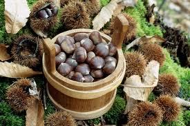 castagne