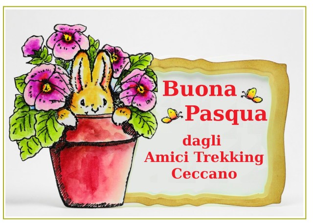 Buona-Pasqua